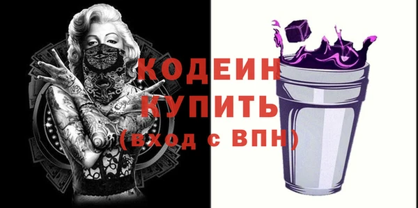ГАЛЛЮЦИНОГЕННЫЕ ГРИБЫ Богданович