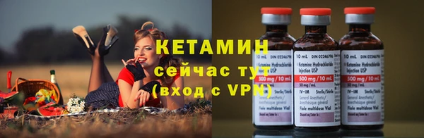 ГАЛЛЮЦИНОГЕННЫЕ ГРИБЫ Богданович