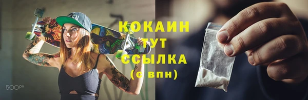 mix Богородицк