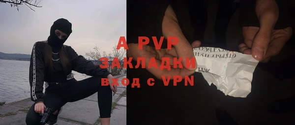 прущие крисы Белокуриха