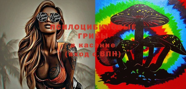 ГАЛЛЮЦИНОГЕННЫЕ ГРИБЫ Богданович