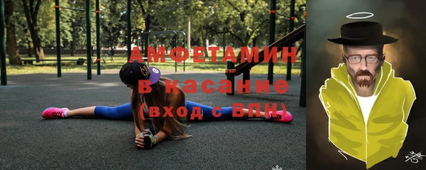 ГАЛЛЮЦИНОГЕННЫЕ ГРИБЫ Богданович