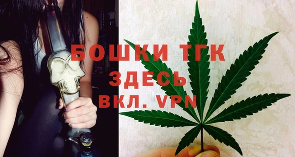 mix Богородицк