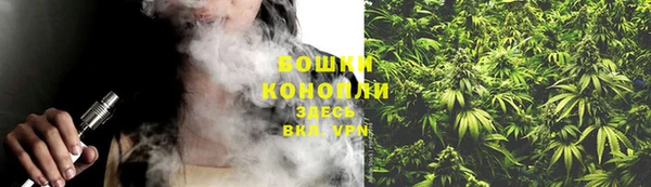 прущие крисы Белокуриха