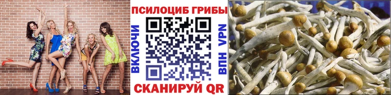 Галлюциногенные грибы MAGIC MUSHROOMS Называевск